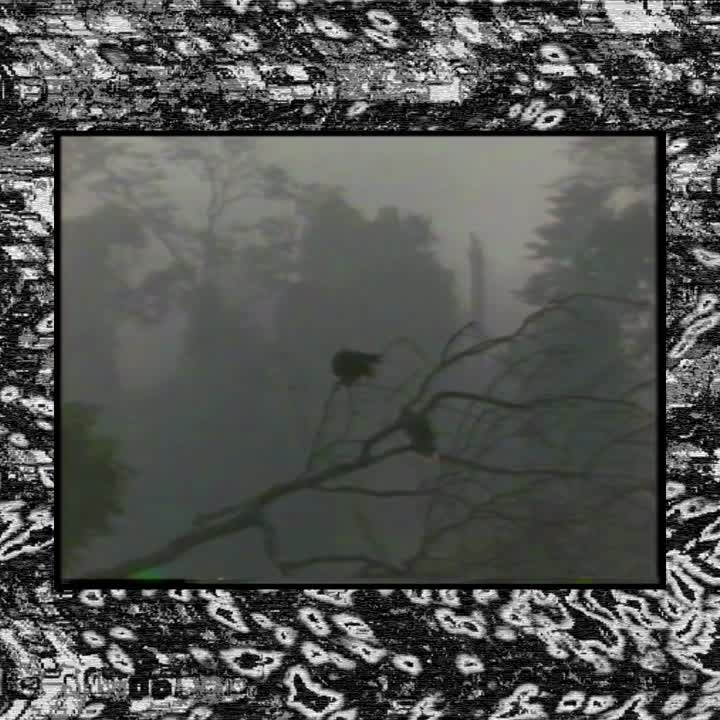 Poster de “El Río Cayápas” — Viiaan’s Avian Memory Loop